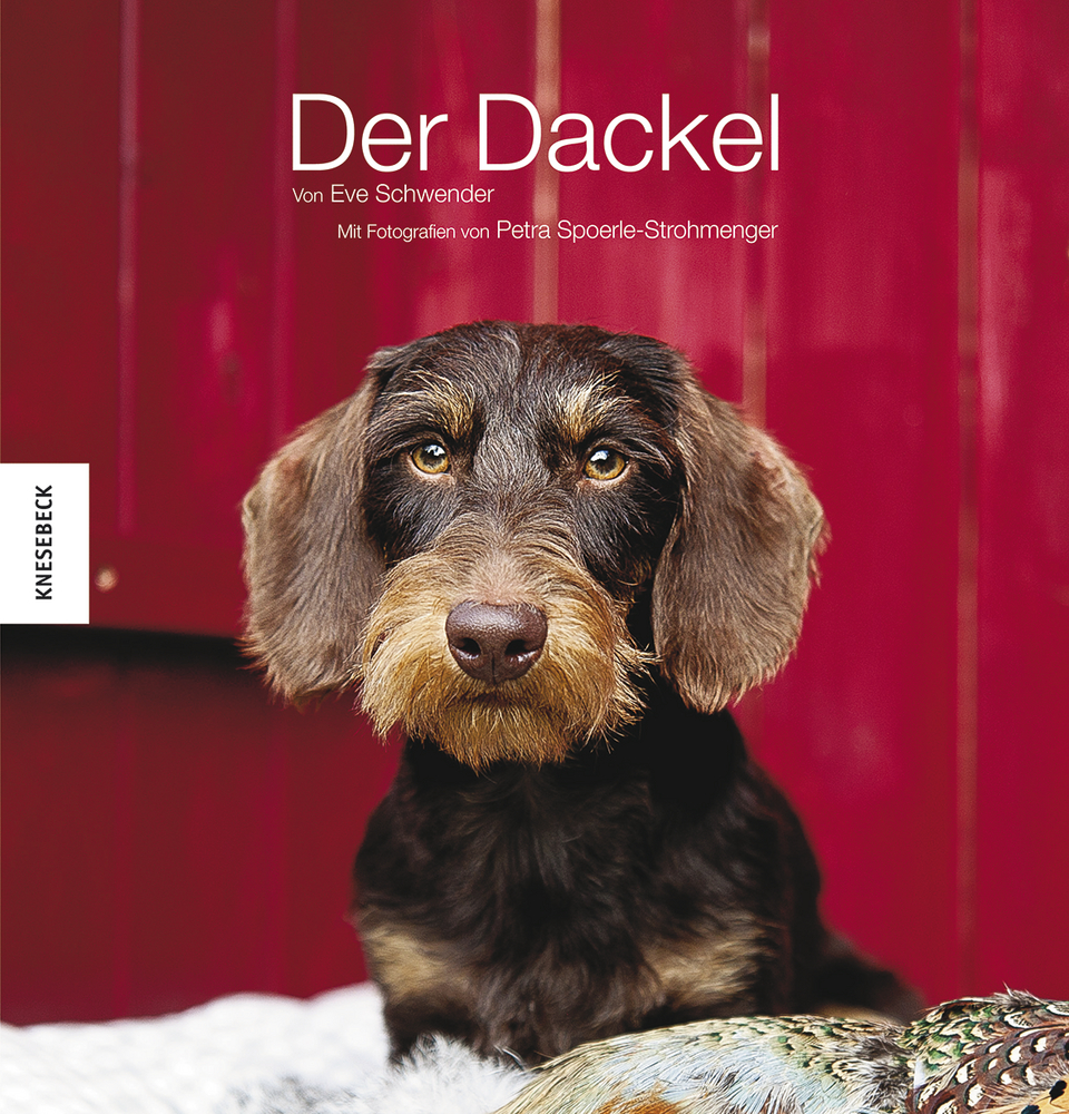 Der Dackel Knesebeck Verlag