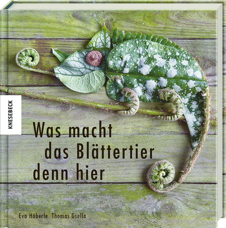 Was macht das Blättertier denn hier