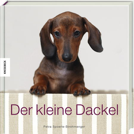 Der kleine Dackel