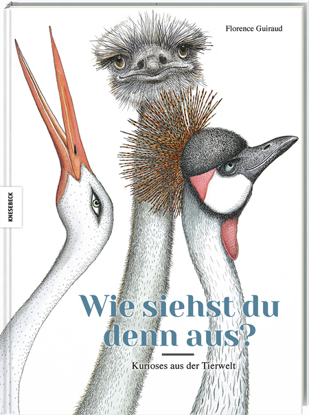 Wie siehst du denn aus? Kurioses aus der Tierwelt