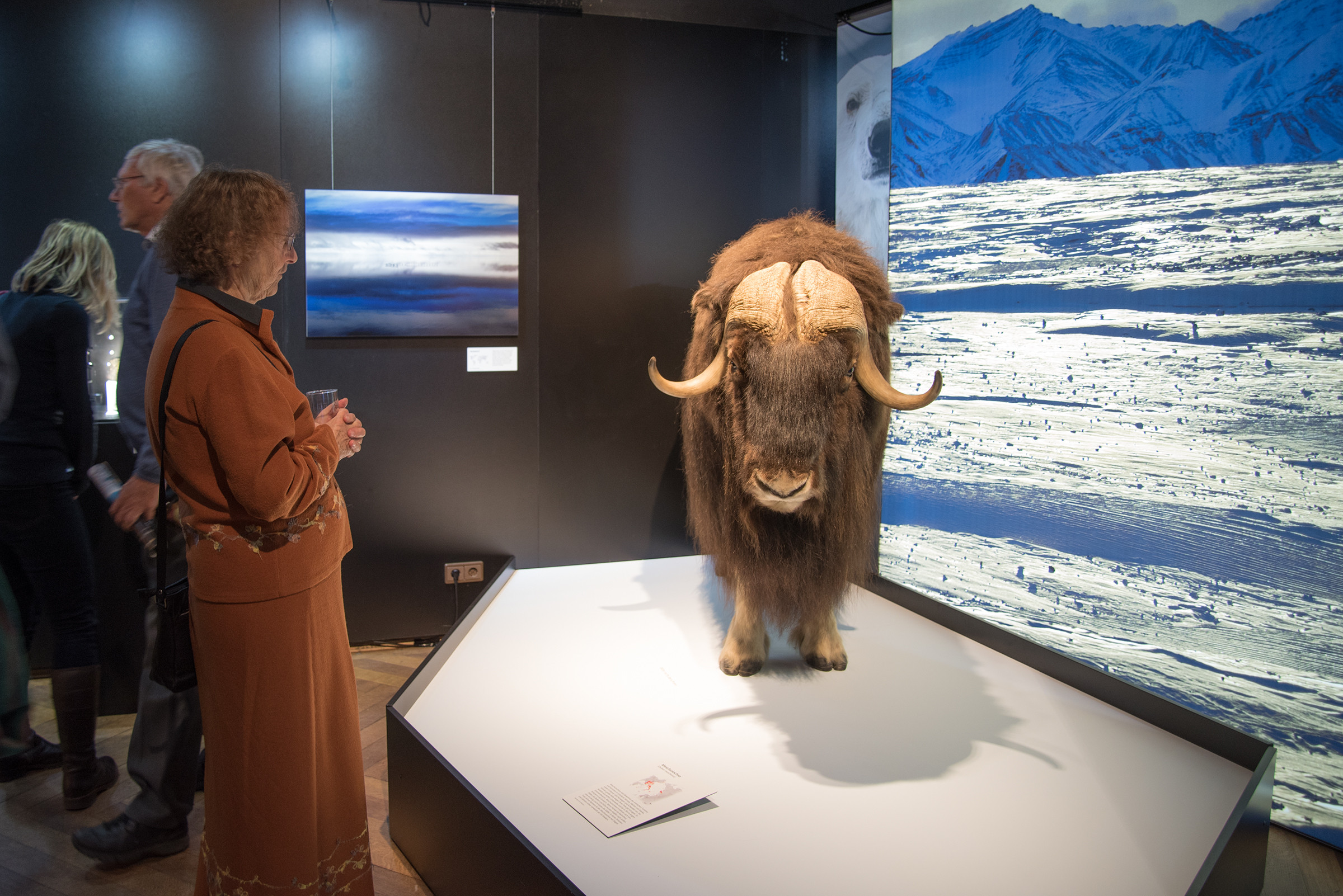WÜSTE Große Ausstellungseröffnung Sonderausstellung im Museum