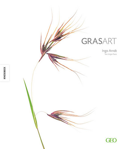 Ausstellung | GrasArt von Ingo Arndt