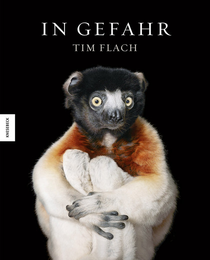 Ausstellung | In Gefahr