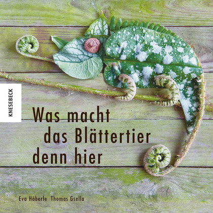 Ausstellung | Was macht das Blättertier denn hier