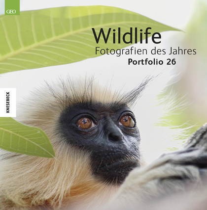 Ausstellung | Wildlife Fotografien des Jahres 2016