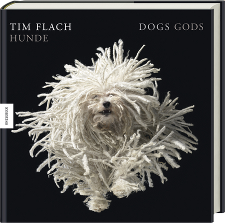 Hunde