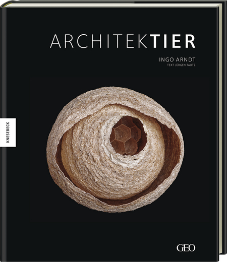 Architektier