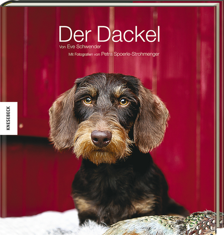 Der Dackel