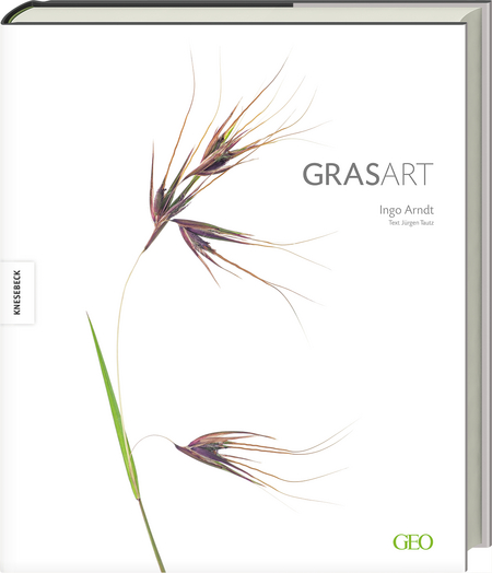 GrasArt