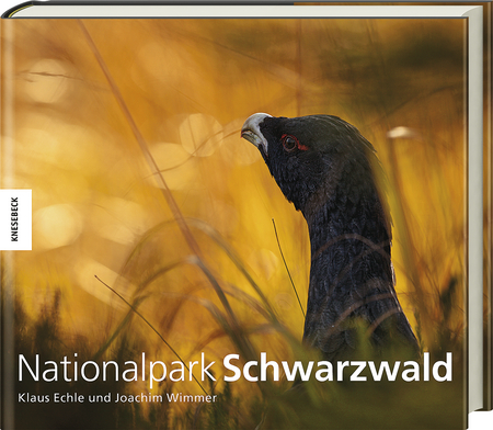 Nationalpark Schwarzwald