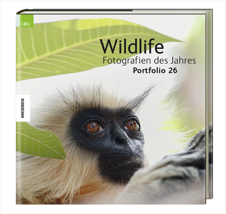Wildlife Fotografien des Jahres – Portfolio 26