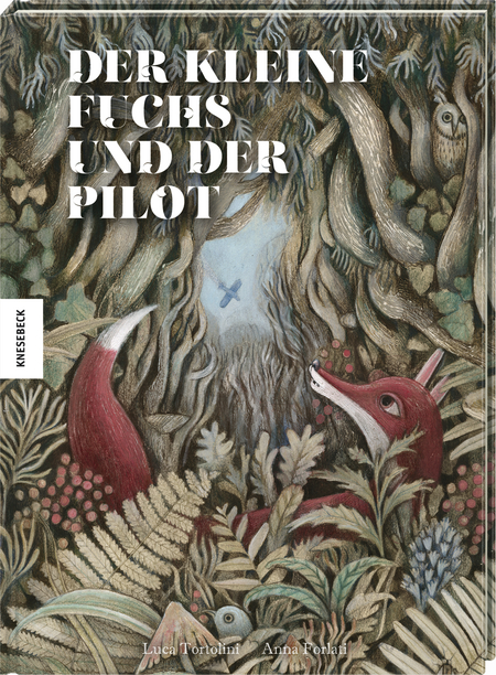 Der kleine Fuchs und der Pilot