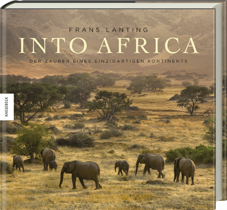 Into Africa