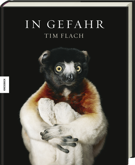 In Gefahr