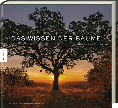 Das Wissen der Bäume