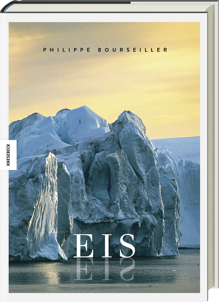 EIS