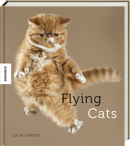 Flying Cats