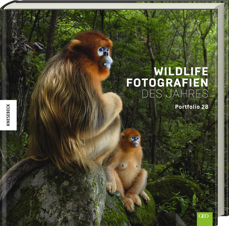 Wildlife Fotografien des Jahres – Portfolio 28