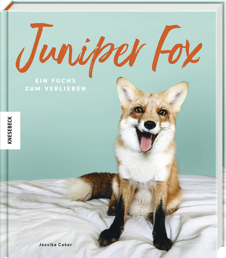 Juniper Fox