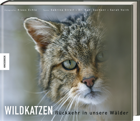 Wildkatzen