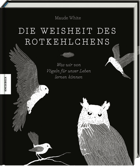 Die Weisheit des Rotkehlchens