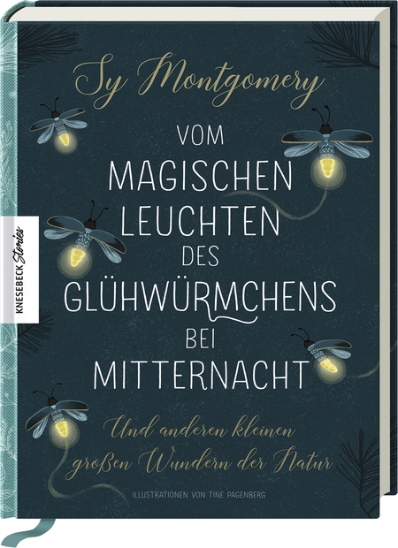 Vom magischen Leuchten des Glühwürmchens bei Mitternacht