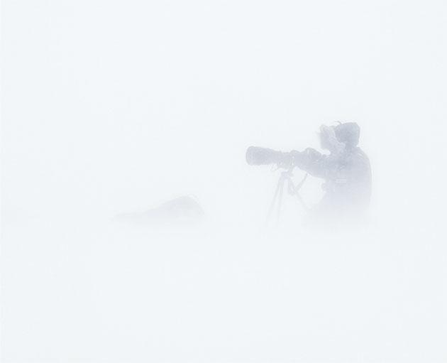 Vincent Munier