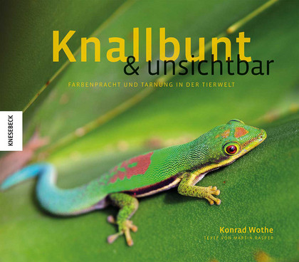Ausstellung | Knallbunt und unsichtbar
