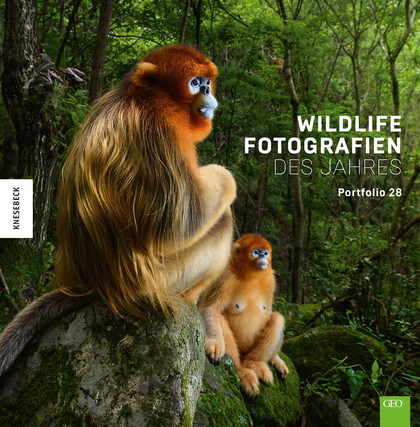 Ausstellung | Wildlife Fotografien des Jahres Portfolio 28